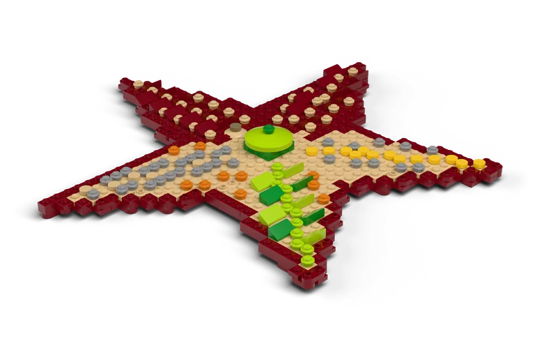 The Anatomy Of A Starfish brick set
